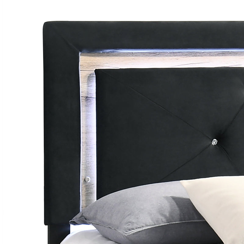 Black Modern Contemporary Solid Wood Velvet Upholstered Tufted LED Platform Full Bed